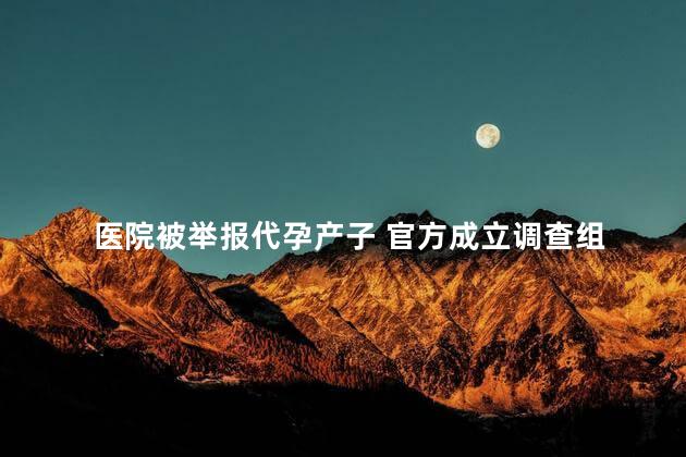 医院被举报代孕产子 官方成立调查组